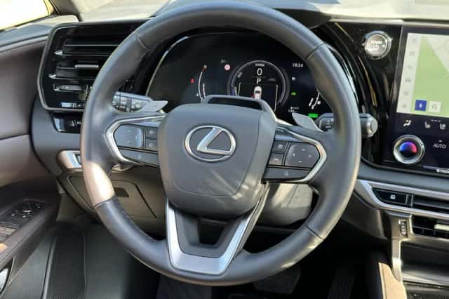 Lexus RX (2023) thumbnail 21