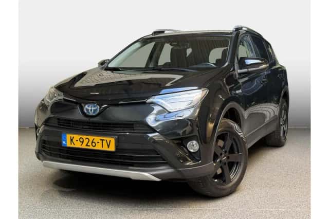 Toyota RAV4 (2018) thumbnail 1