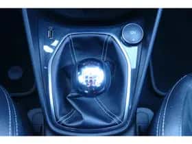Ford Fiesta (2019) thumbnail 29