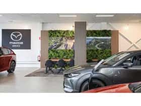Suzuki Swift (2024) thumbnail 27
