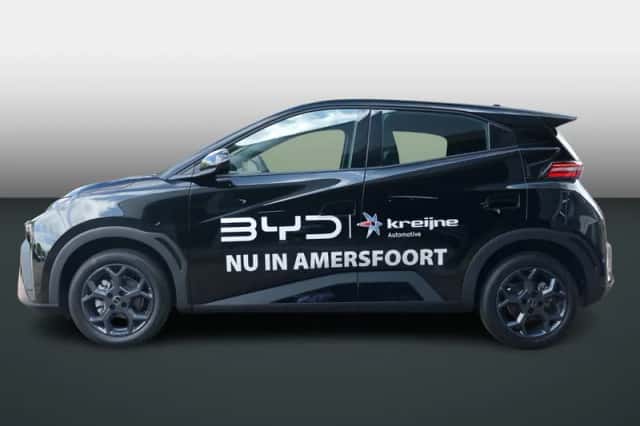 BYD Dolphin (2026) thumbnail 2