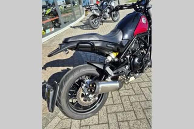 BENELLI LEONCINO (2024) thumbnail 3