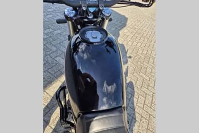 BENELLI LEONCINO (2024) thumbnail 6