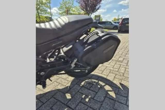 BENELLI LEONCINO (2025) thumbnail 5