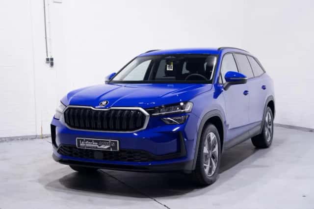 Škoda Kodiaq (2025) thumbnail 6