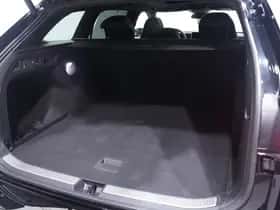 Volkswagen Passat (2025) thumbnail 131