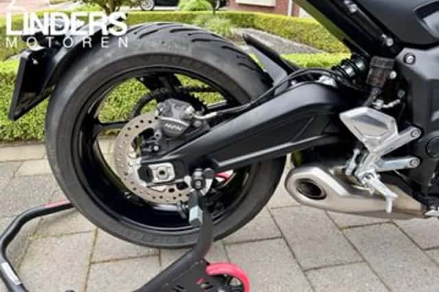 TRIUMPH TRIDENT (2024) thumbnail 6