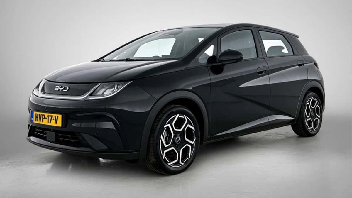 BYD Dolphin (2025) — foto 1