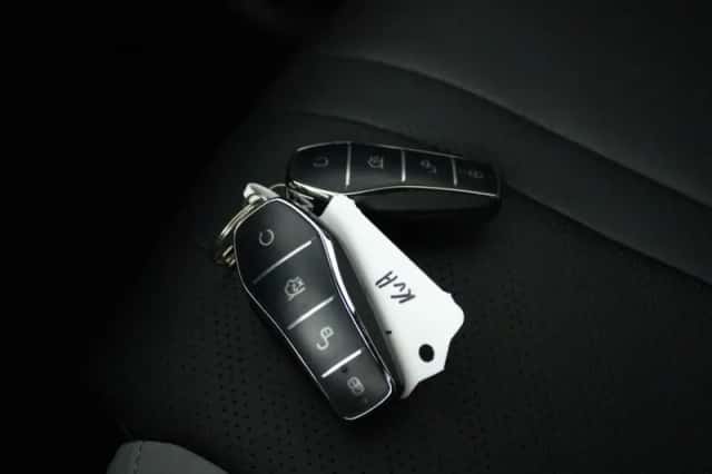 BYD DOLPHIN_SURF (2026) thumbnail 17