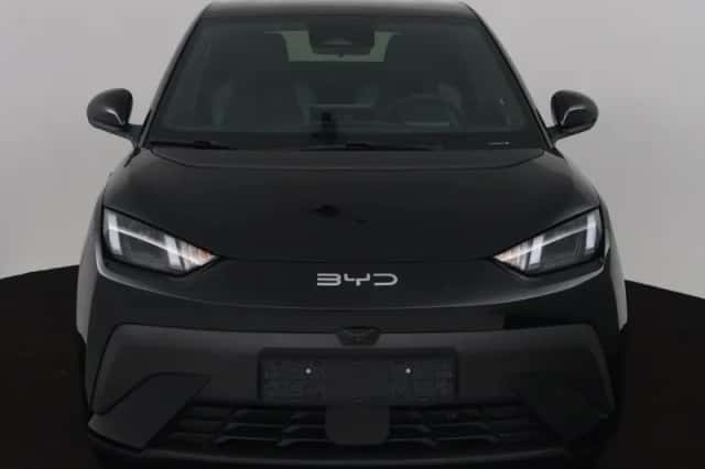 BYD DOLPHIN_SURF (2026) thumbnail 24