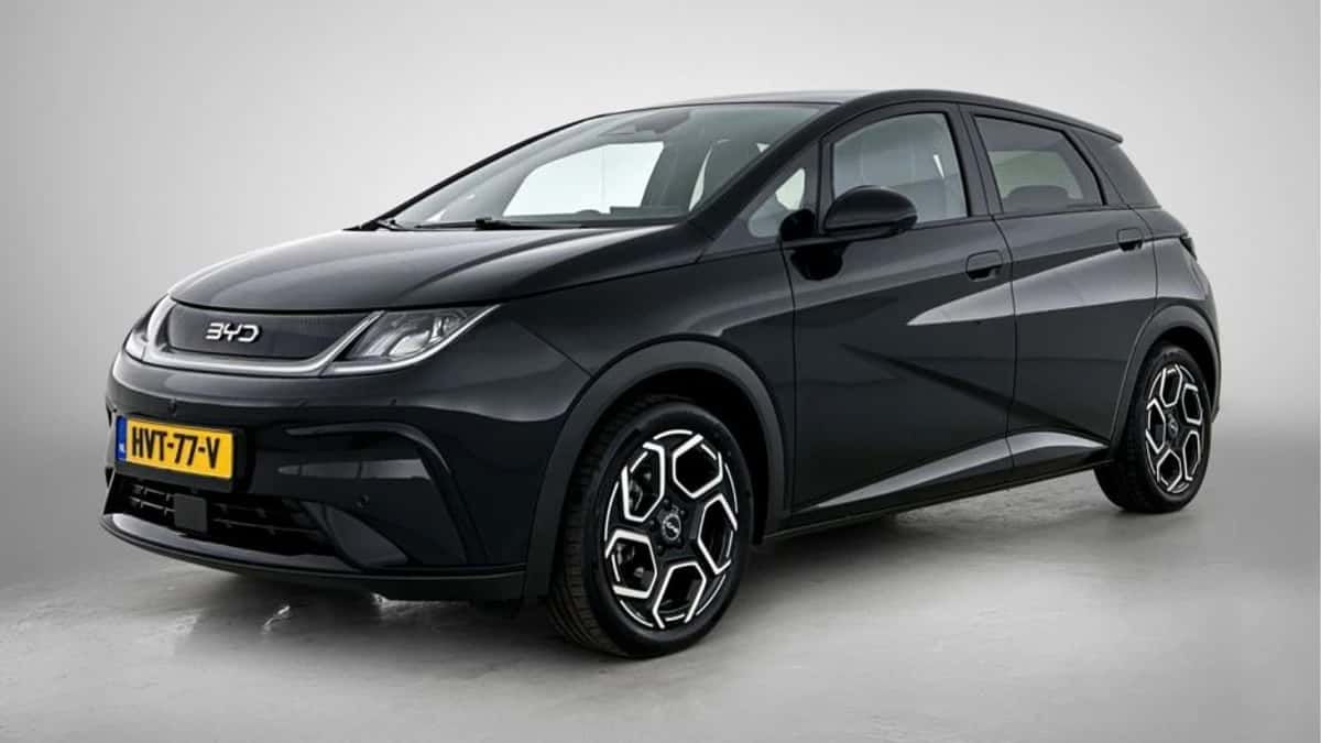 BYD Dolphin (2025) — foto 1