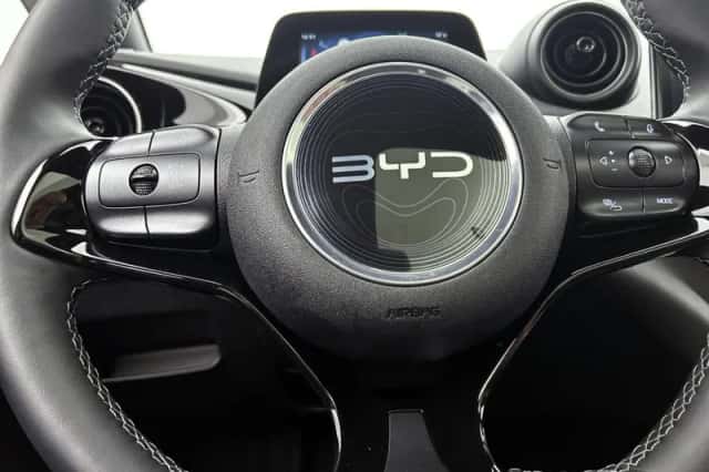 BYD Dolphin (2025) thumbnail 19