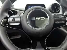 BYD Dolphin (2025) thumbnail 19