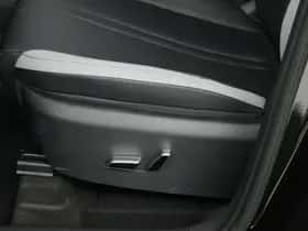 BYD DOLPHIN_SURF (2026) thumbnail 20
