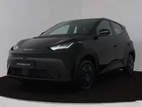 BYD DOLPHIN_SURF (2026)