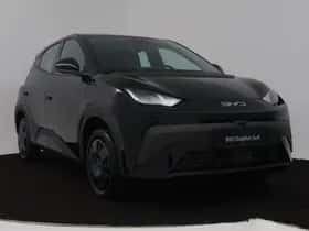 BYD DOLPHIN_SURF (2026) thumbnail 15