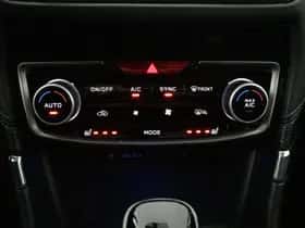 Subaru Forester (2019) thumbnail 21
