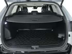 Kia Sportage (2026) thumbnail 31