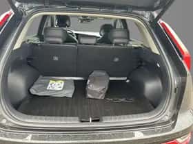 Kia Niro (2025) thumbnail 8