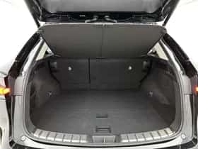 Lexus NX (2025) thumbnail 29