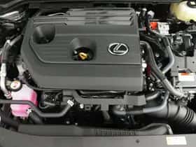 Lexus UX (2026) thumbnail 12