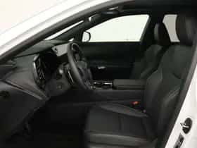 Lexus RX (2025) thumbnail 20