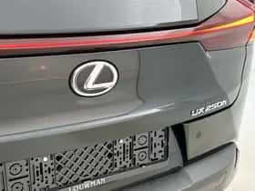 Lexus UX (2024) thumbnail 18