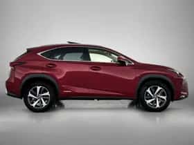 Lexus NX (2018) thumbnail 13