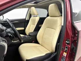 Lexus NX (2018) thumbnail 17