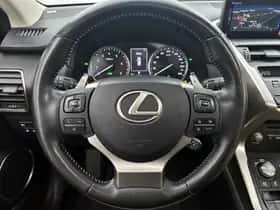 Lexus NX (2018) thumbnail 19