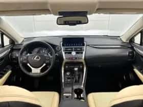 Lexus NX (2018) thumbnail 6