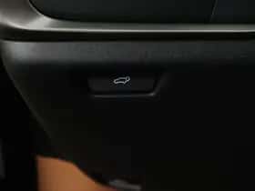 Lexus RZ (2026) thumbnail 13