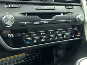 Lexus RX (2019) thumbnail 16