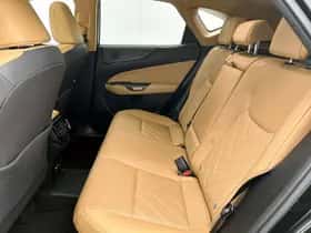 Lexus NX (2022) thumbnail 18