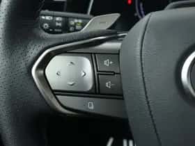 Lexus RX (2024) thumbnail 17