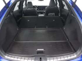 Lexus RX (2024) thumbnail 36