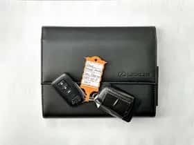 Lexus RX (2019) thumbnail 37