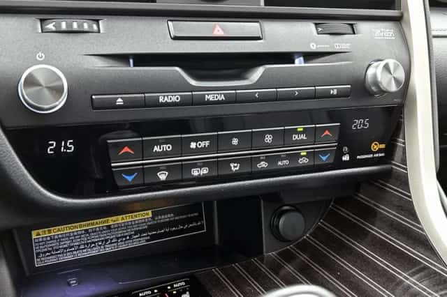 Lexus RX (2019) thumbnail 10