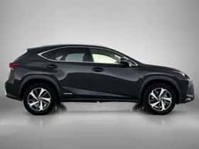 Lexus NX (2019) thumbnail 11