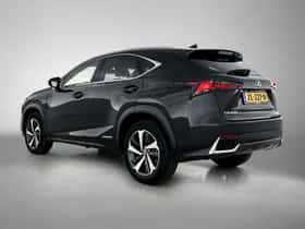 Lexus NX (2019) thumbnail 13