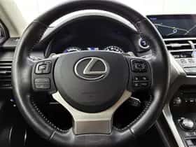 Lexus NX (2019) thumbnail 17