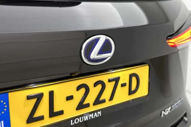 Lexus NX (2019) thumbnail 19
