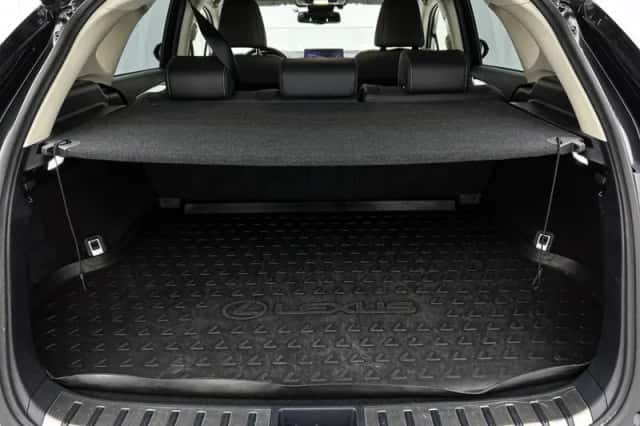 Lexus NX (2019) thumbnail 25