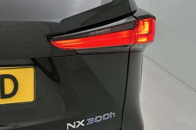 Lexus NX (2019) thumbnail 31