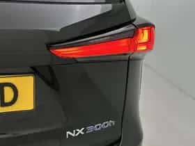 Lexus NX (2019) thumbnail 31