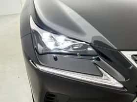 Lexus NX (2019) thumbnail 35