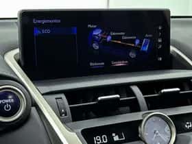 Lexus NX (2021) thumbnail 11