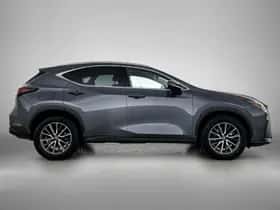 Lexus NX (2022) thumbnail 11