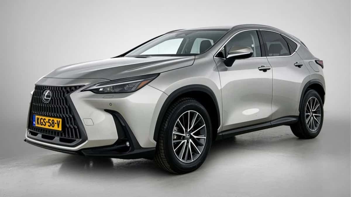 Lexus NX (2025) — foto 1