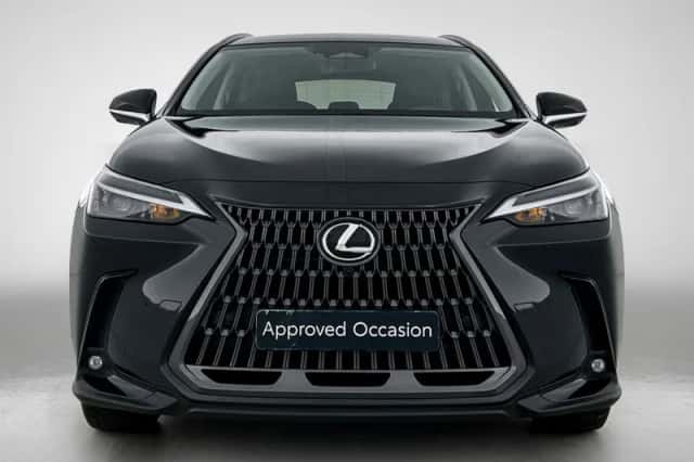 Lexus NX (2022) thumbnail 19